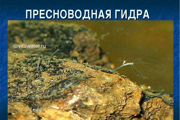 Кракен маркер даркнет